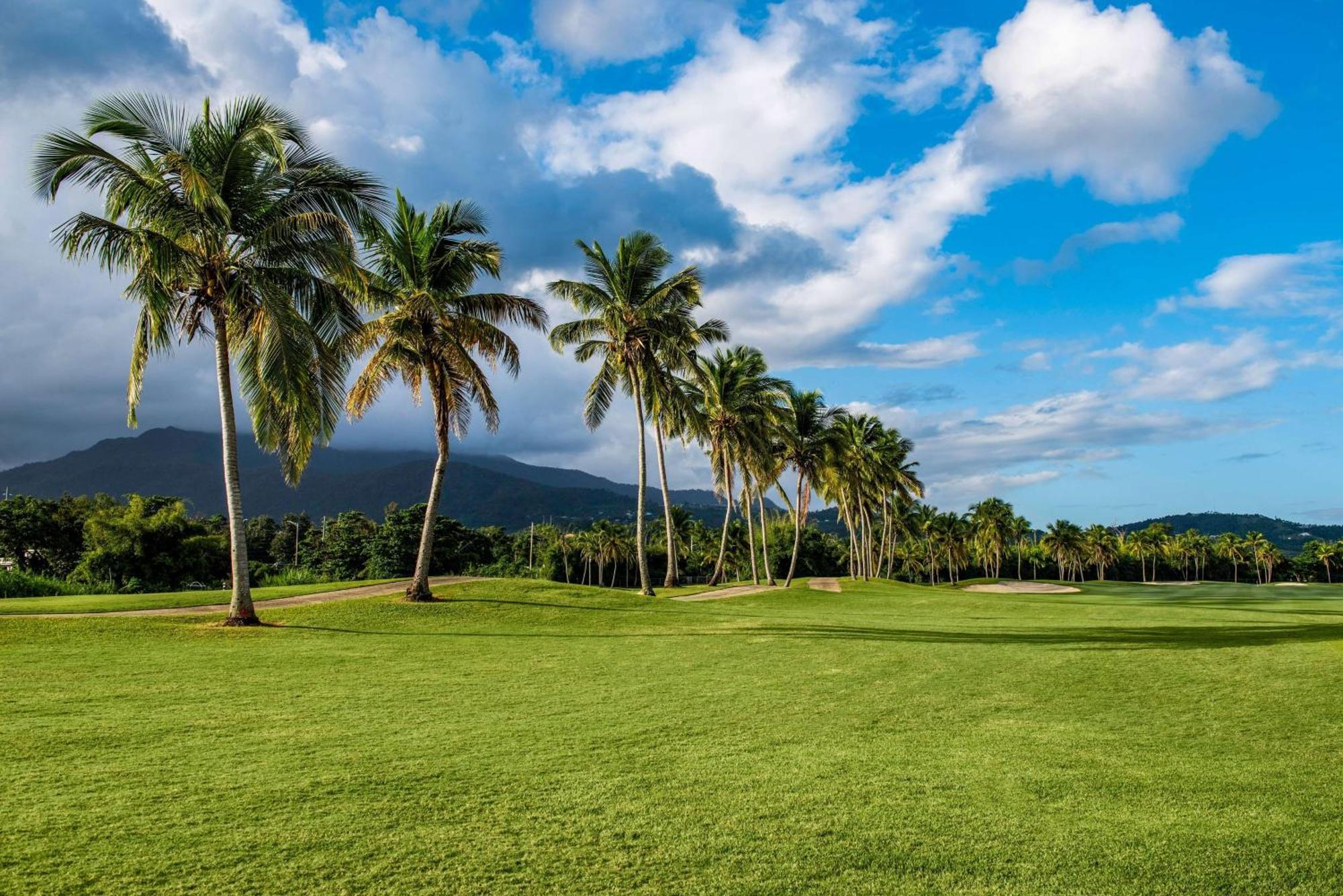 Wyndham Grand Rio Mar Rainforest Beach And Golf Resort Río Grande Exteriér fotografie